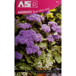 Bulbos de Amaryllis Raro Unico Papilo Papillo