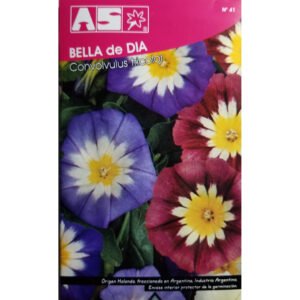 400 Semillas Bella De Dia Convolvulus Tricolor Premium