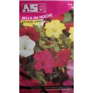 64 Semillas Bella De Noche Mirabilis Jalapa Calidad Premium
