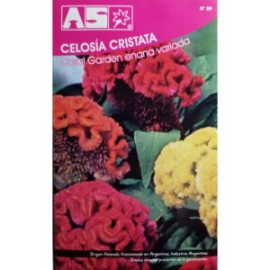 650 Semillas Celosia Cristata Coral Garden Enana Premium