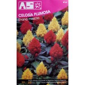 325 Semillas Celosia Plumosa Enana Mix Premium