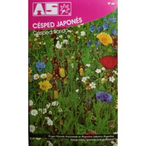 400 Semillas Cesped Japones Florido Calidad Premium