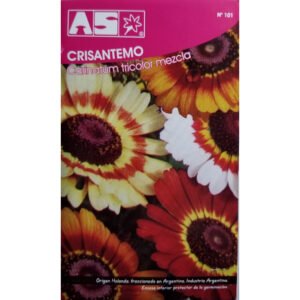 350 Semillas Crisantemo Carinatum Tricolor Calidad Premium