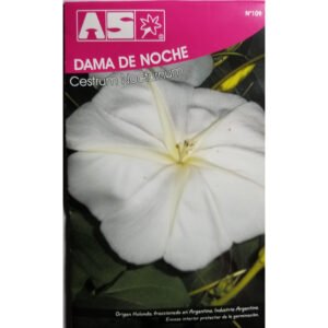 6 Semillas Dama De Noche Cestrum Nocturnum Premium