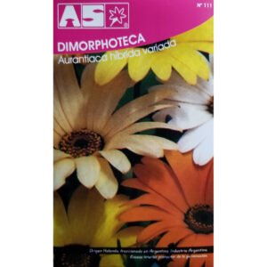 360 Semillas Dimorphoteca Aurantica Mix Calidad Premium