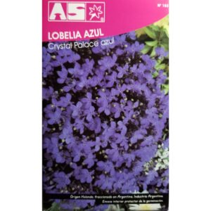 4500 Semillas Lobelia Azul Crystal Palace Calidad Premium