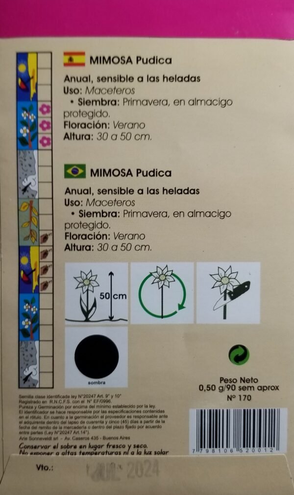 90 Semillas Mimosa Pudica Planta Sensible Al Tacto Premium - Image 2