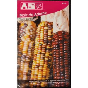 15 Semillas De Maiz De Adorno (Zea Mays) Premium