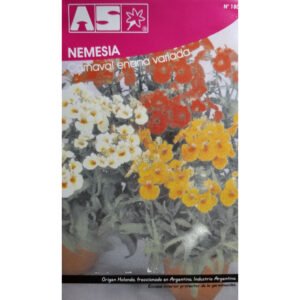750 Semillas Nemesia Carnaval Enana Mix Calidad Premium