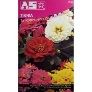 60 Semillas Zinnia Tumbelina Enana Doble Mix Premium